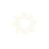 Rankpad
